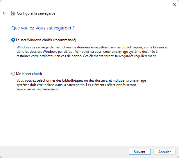 Choix de quoi sauvegarder